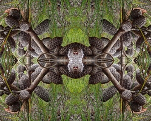 P1071350Kal5.jpg